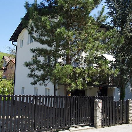 Apartment Zupan Maribor Bagian luar foto